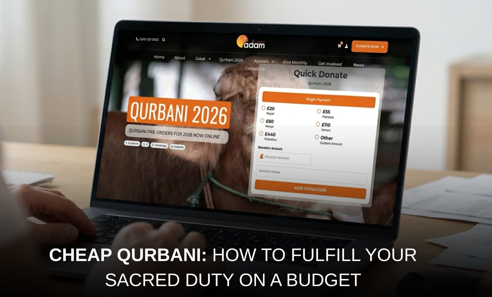 Cheap Qurbani: How to Fulfill Your Sacred Duty on a Budget 5 a close-up view of a person’s hands typing on a laptop showing a charity website titled "adam" for qurbani 2026 pre-orders. the screen displays a "quick donate" form with various price options for countries like nepal, pakistan, kenya, and yemen. the image is overlaid with bold white text at the bottom that reads: "cheap qurbani: how to fulfill your sacred duty on a budget.